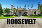 STAND - Roosevelt Premium Flag Pole Kit